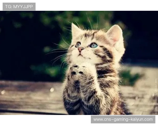 哈兰德宠物训练照曝光：他与宠物的独特默契，打破运动员形象